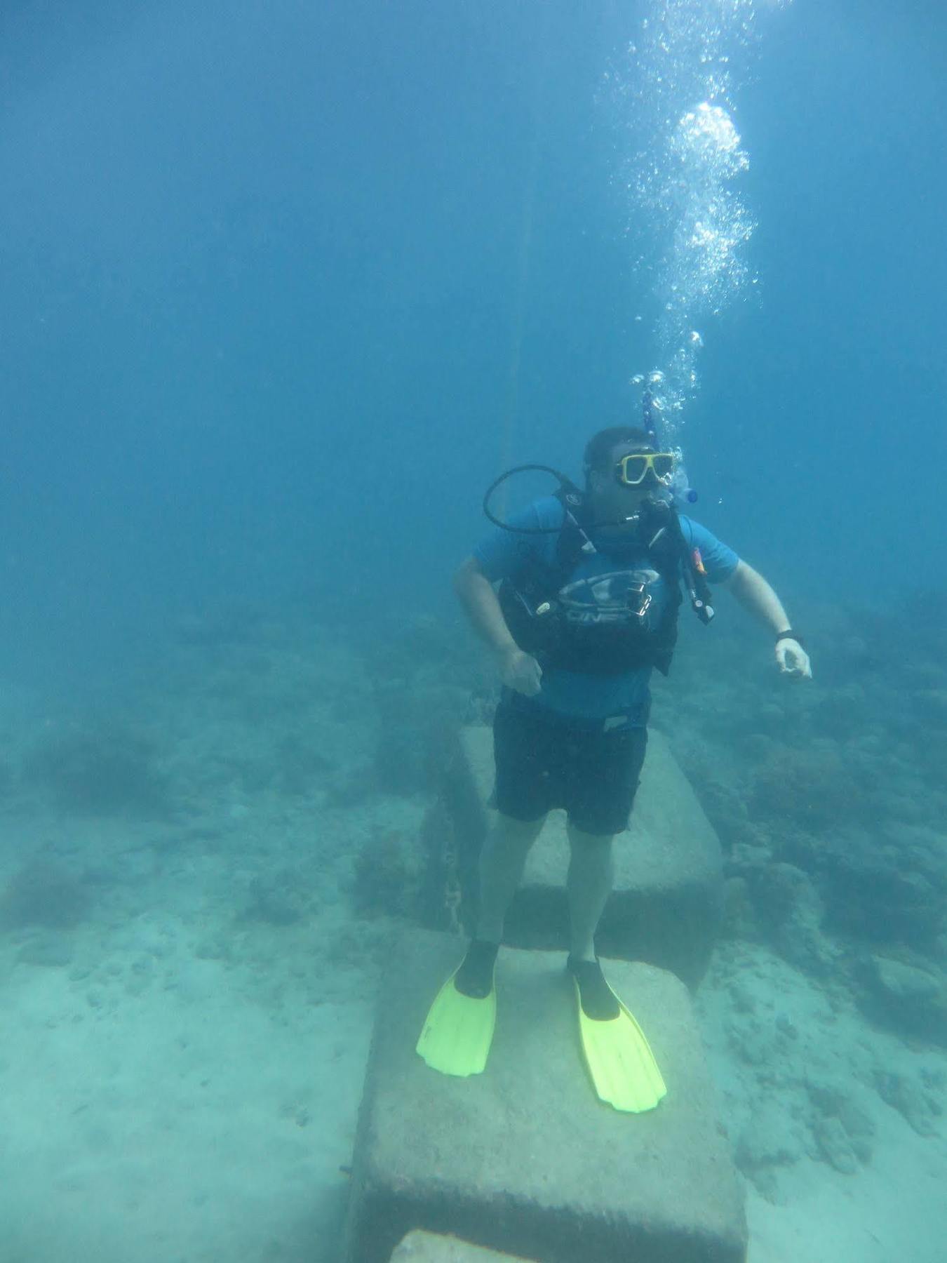 Hostel Reef Backpackers Cairns Exterior foto